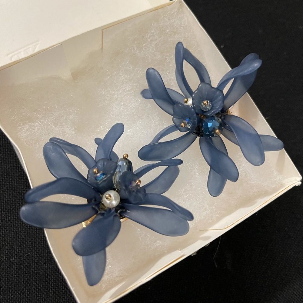 Flower Clío Earnings